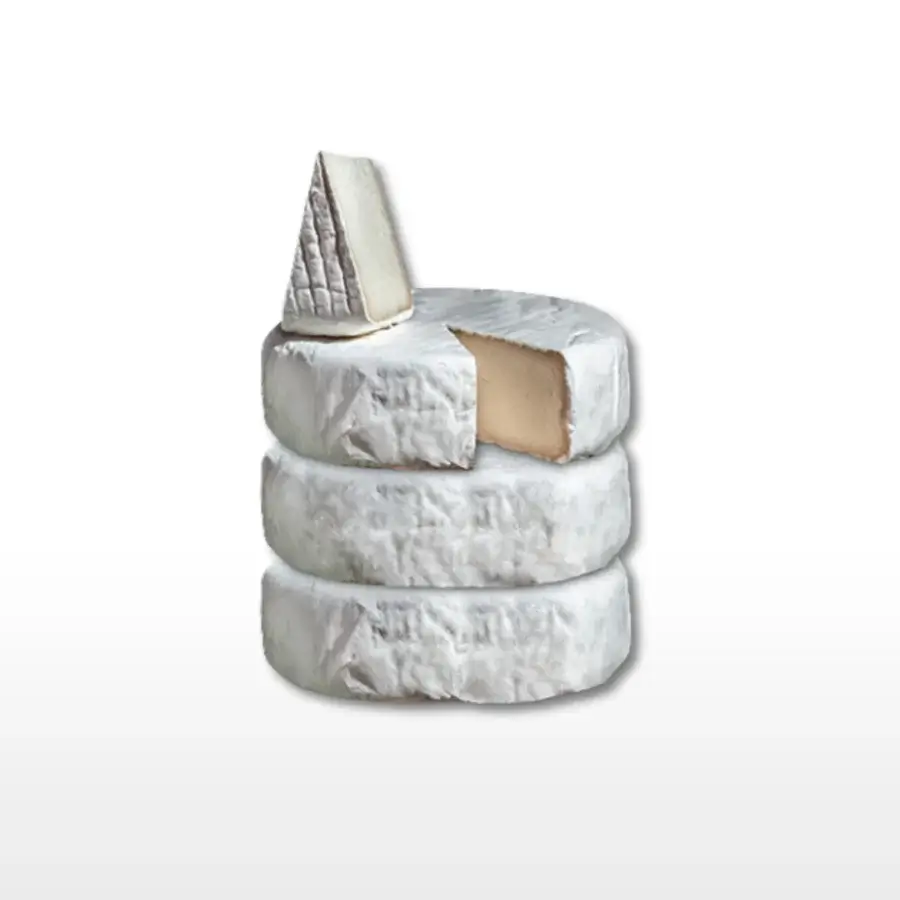 Petit Véganne Nos Affinés Trio Lorrain camembert végétal BIO