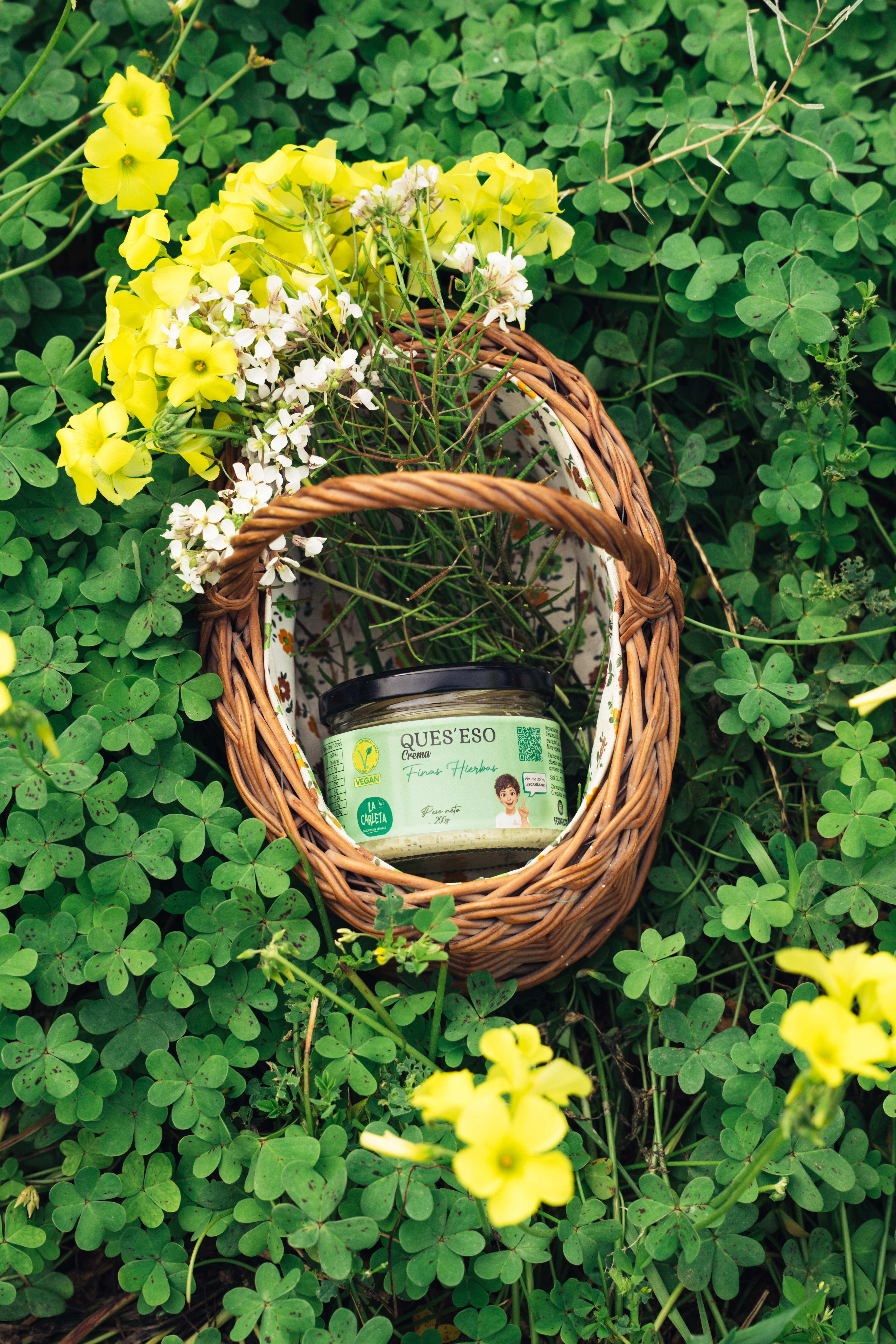 La Carleta Ques'eso Crema Finas Hierbas à tartiner herbes 200g