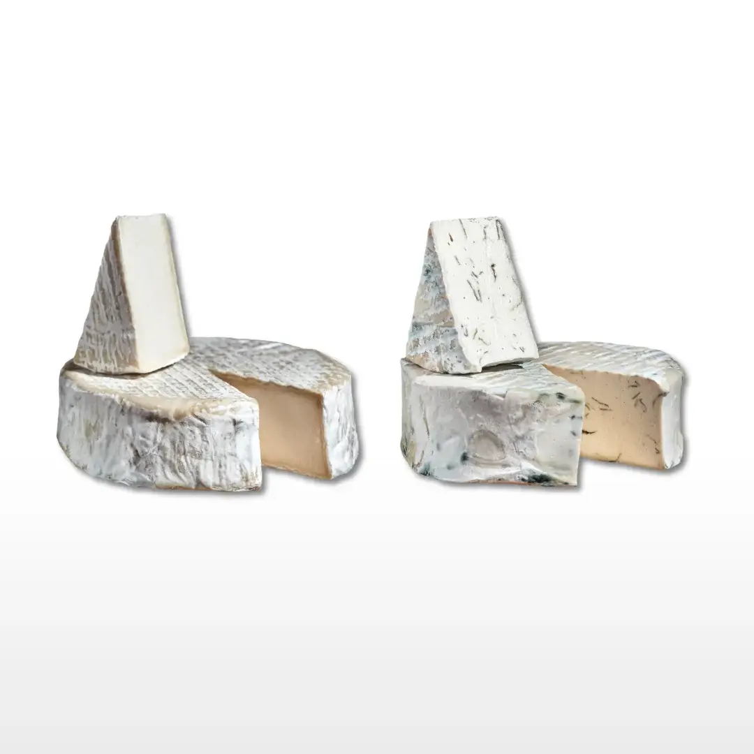 Petit Véganne Nos Affinés Duo Lorrain & Azur fromage végétal